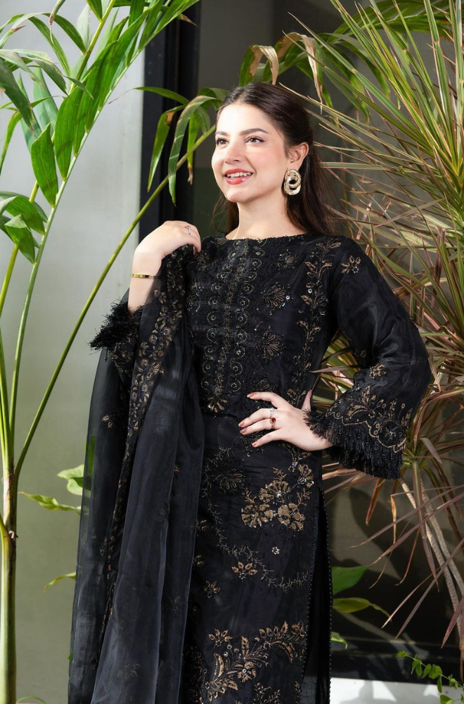  Elegant black embroidered suit complemented by a beautifully embroidered dupatta, highlighting exquisite detailing and style.
