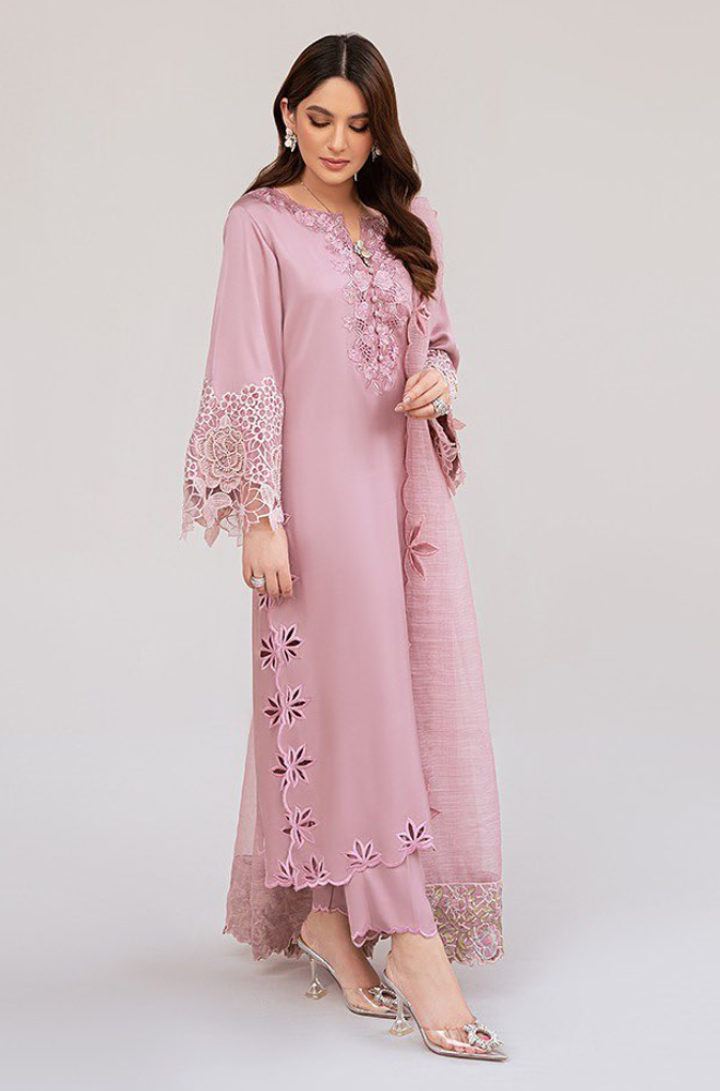 Elegant pink suit adorned with detailed embroidery, highlighting fine craftsmanship and a stylish design.
